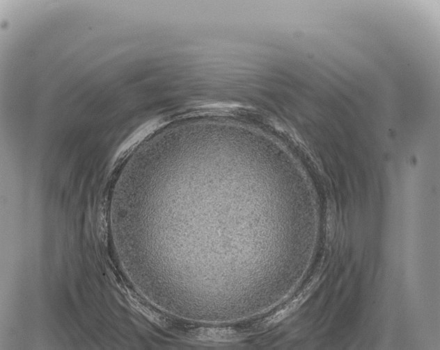 X0000085241354200703161325