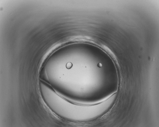 X0000085241384200703161325