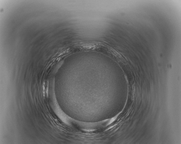 X0000085241394200703161324