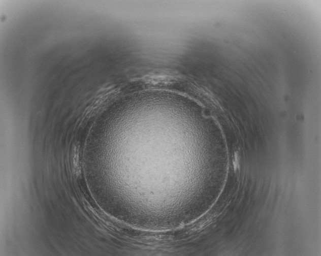 X0000085241396200703161324