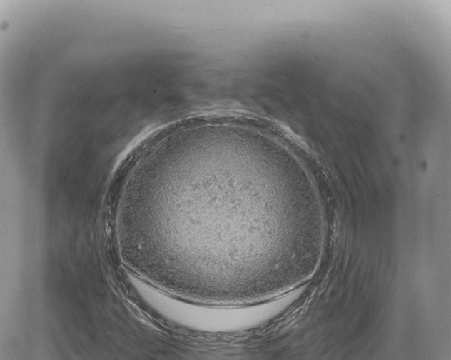 X0000085241400200703161324