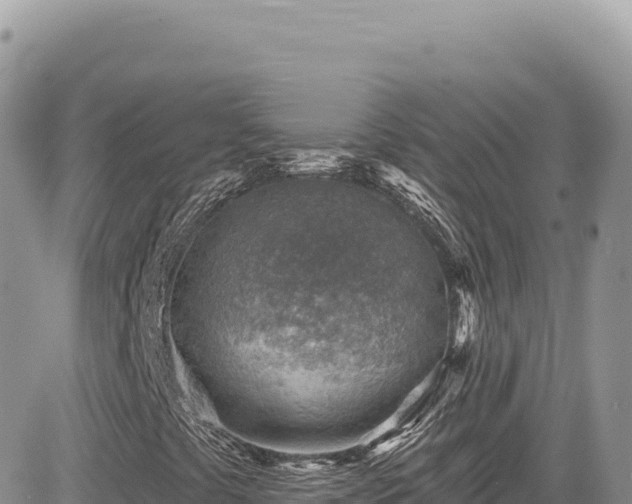 X0000085241441200703161324