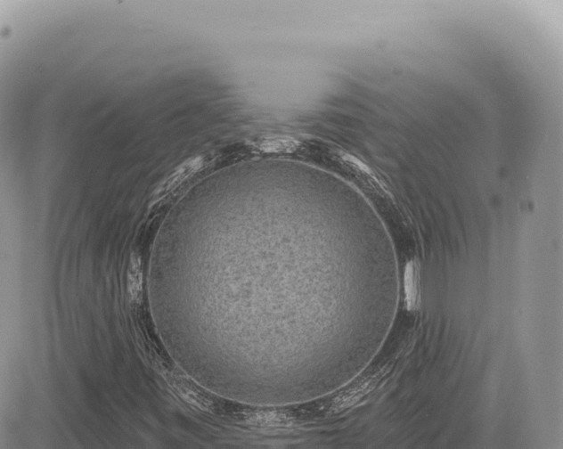 X0000085241443200703161324