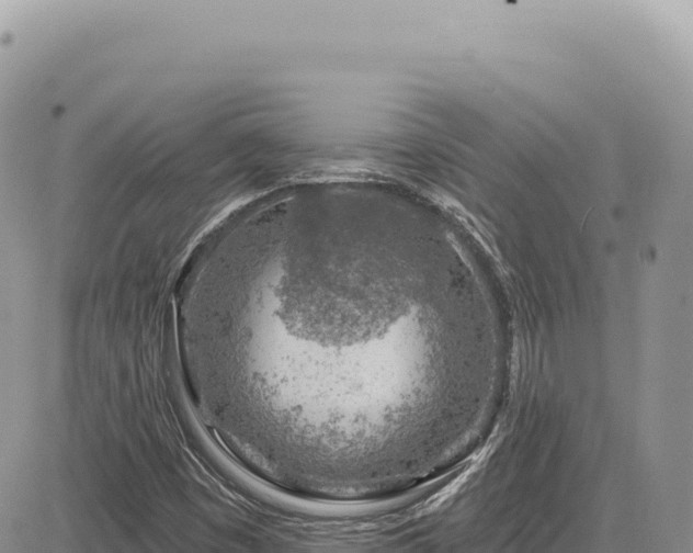 X0000085241449200703161324