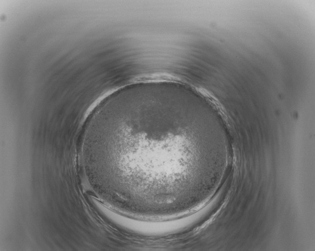 X0000085241457200703161324