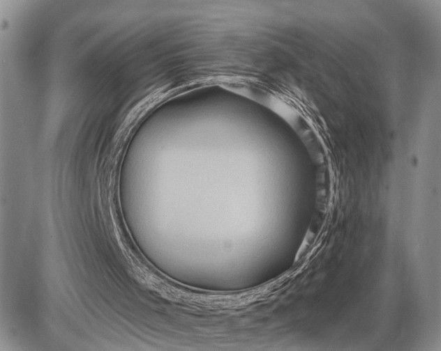 X0000085240001200703231636