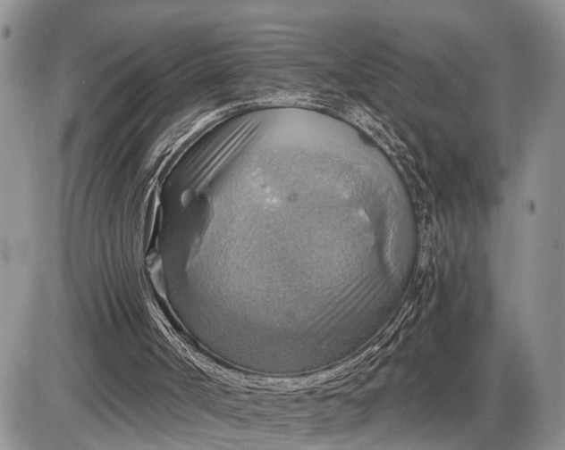 X0000085240002200703231636