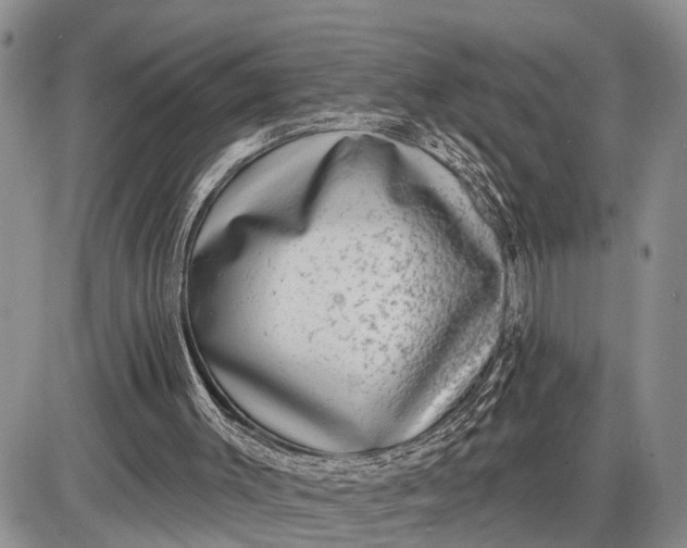 X0000085240003200703231636