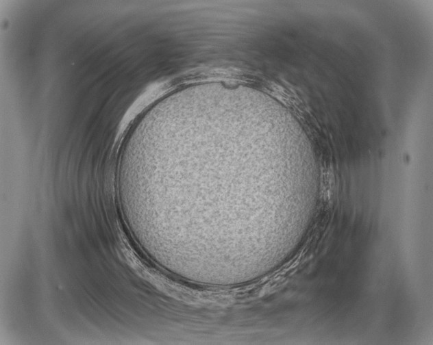 X0000085240004200703231636