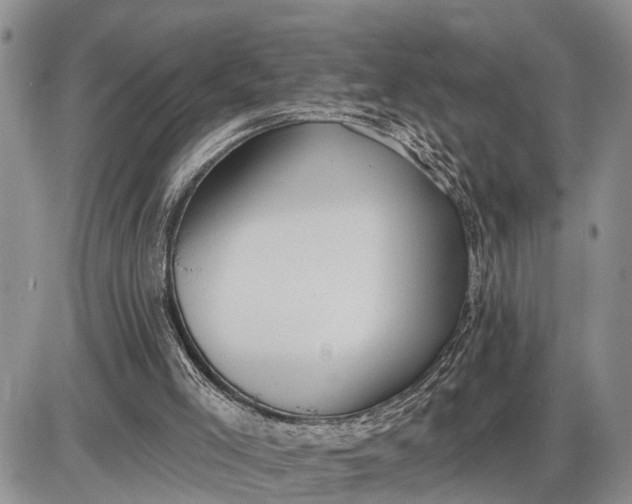 X0000085240005200703231636