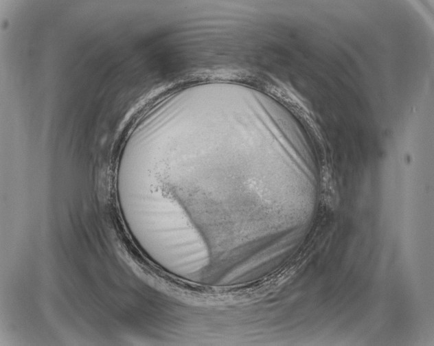 X0000085240012200703231636