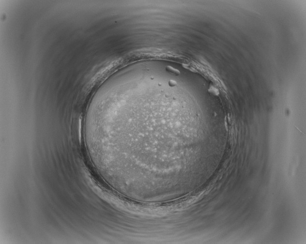 X0000085240014200703231636