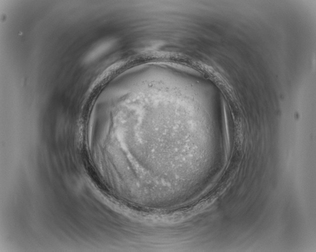 X0000085240016200703231636