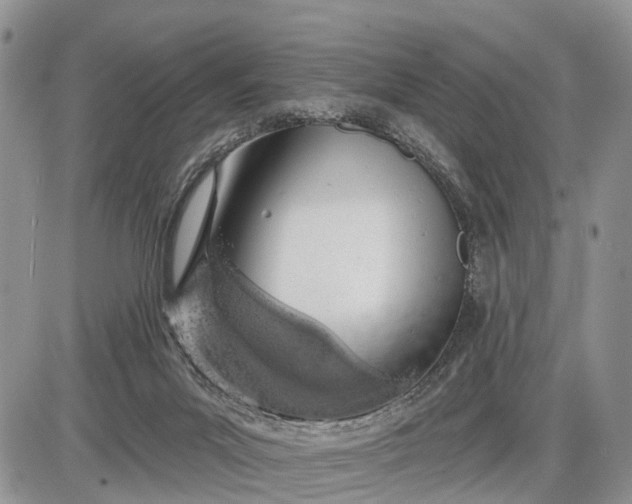 X0000085240023200703231636