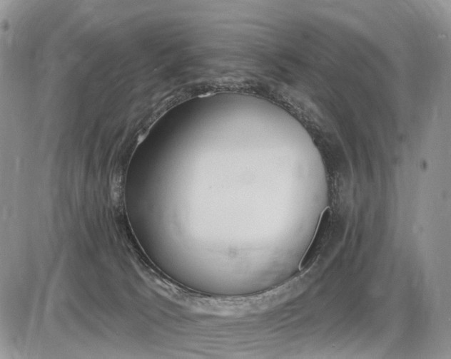 X0000085240033200703231635