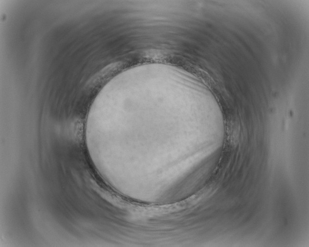 X0000085240036200703231635