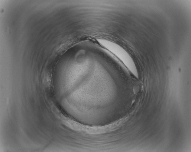X0000085240039200703231635