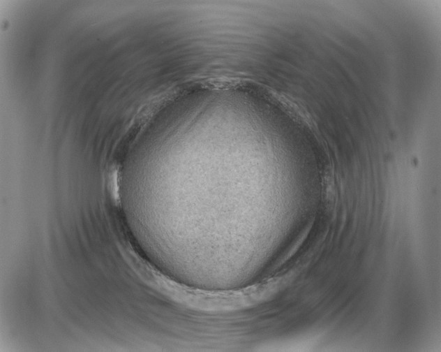X0000085240042200703231635