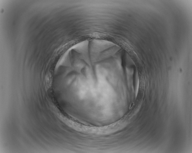 X0000085240043200703231635