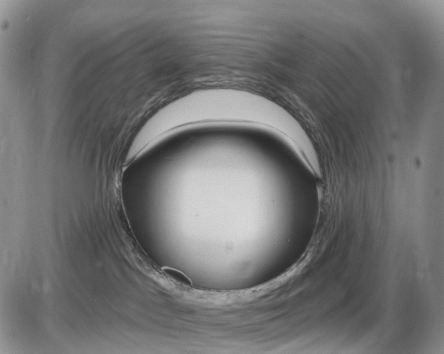 X0000085240045200703231635