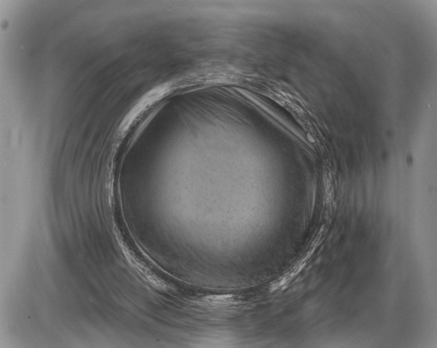 X0000085240054200703231634