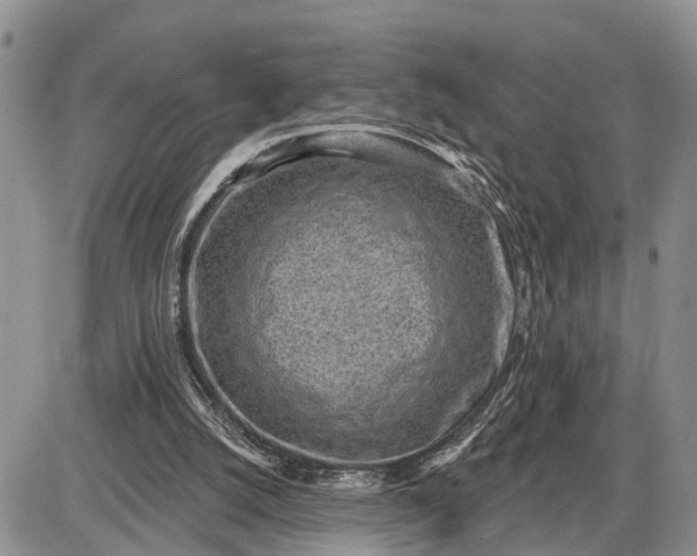 X0000085240056200703231634