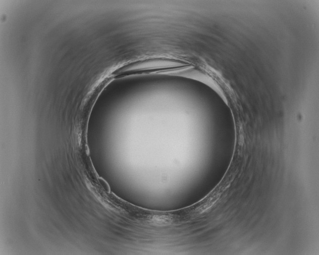 X0000085240060200703231635