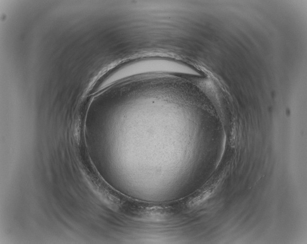 X0000085240064200703231635