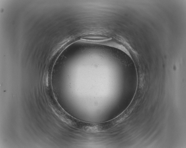 X0000085240068200703231635