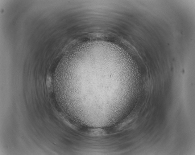 X0000085240087200703231635