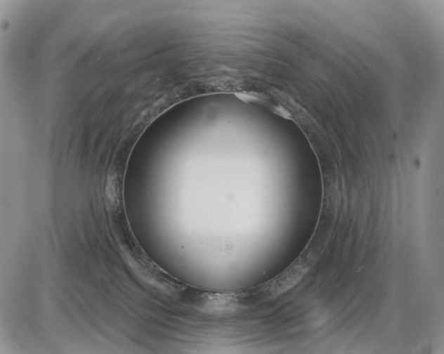 X0000085240088200703231635