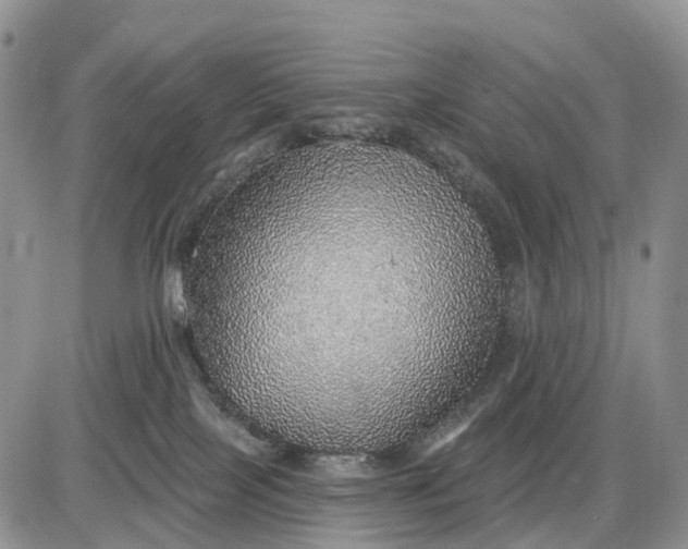 X0000085240089200703231635
