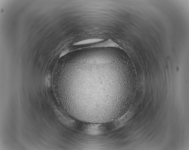 X0000085240090200703231635