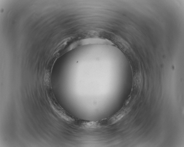 X0000085240092200703231635
