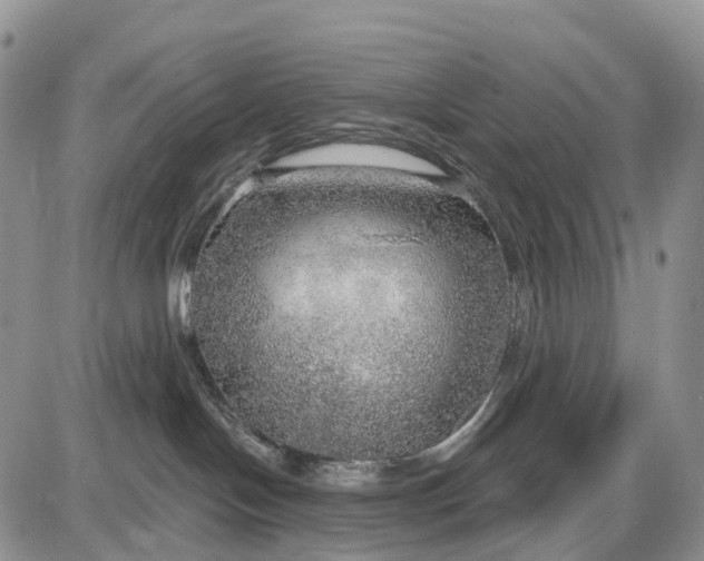 X0000085240094200703231635