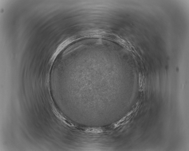 X0000085240099200703231634