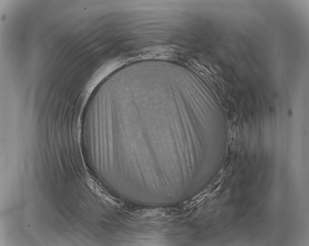 X0000085240100200703231634