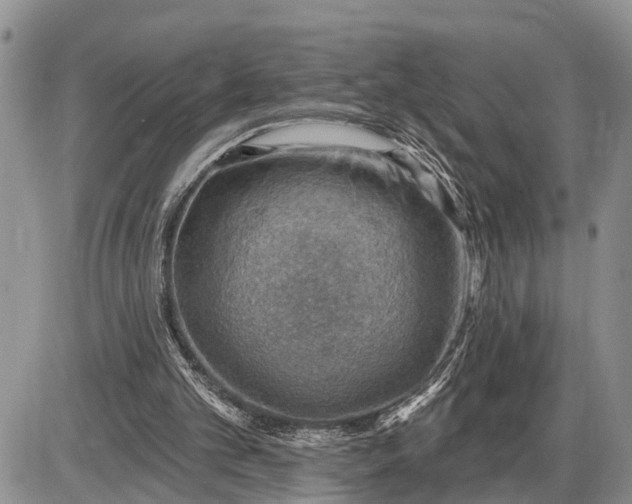 X0000085240101200703231634