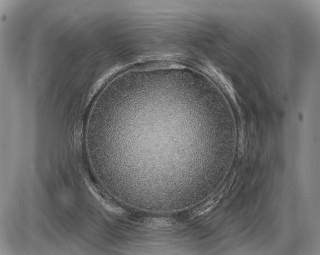 X0000085240107200703231634