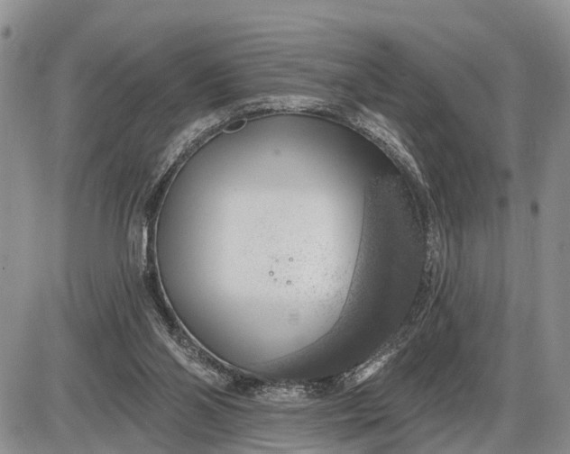 X0000085240110200703231634