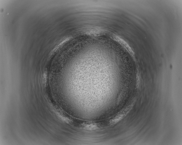 X0000085240113200703231634