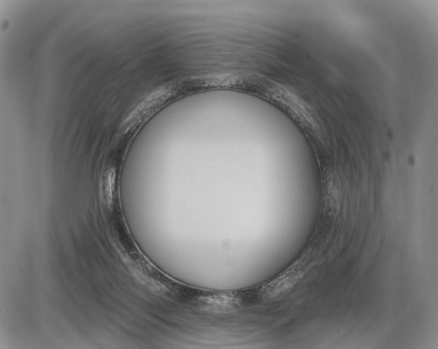 X0000085240118200703231634