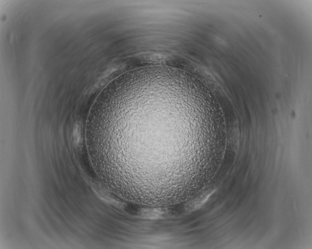 X0000085240131200703231634