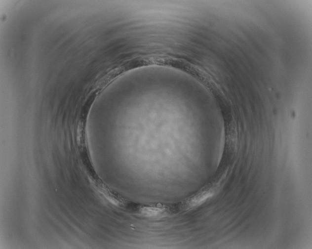 X0000085240139200703231634