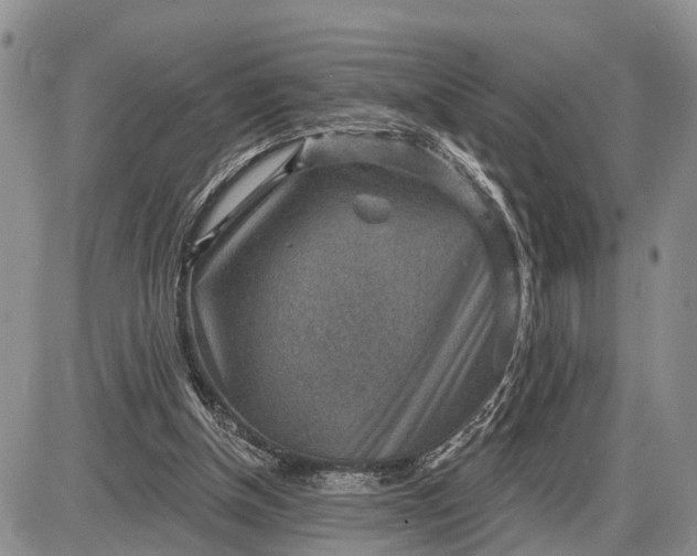 X0000085240154200703231633