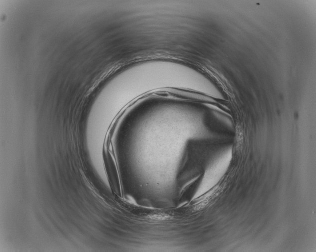 X0000085240158200703231633