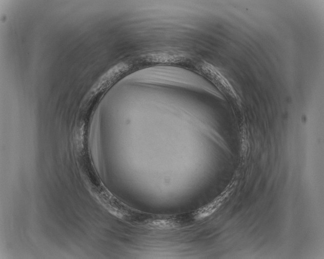 X0000085240163200703231633