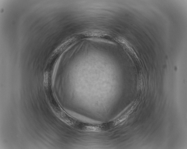 X0000085240167200703231633