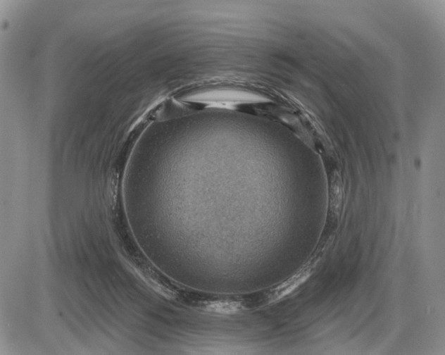 X0000085240168200703231633