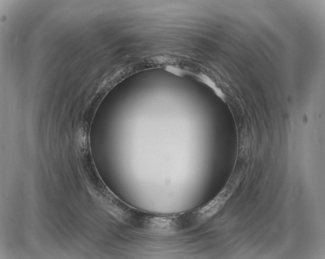 X0000085240176200703231633